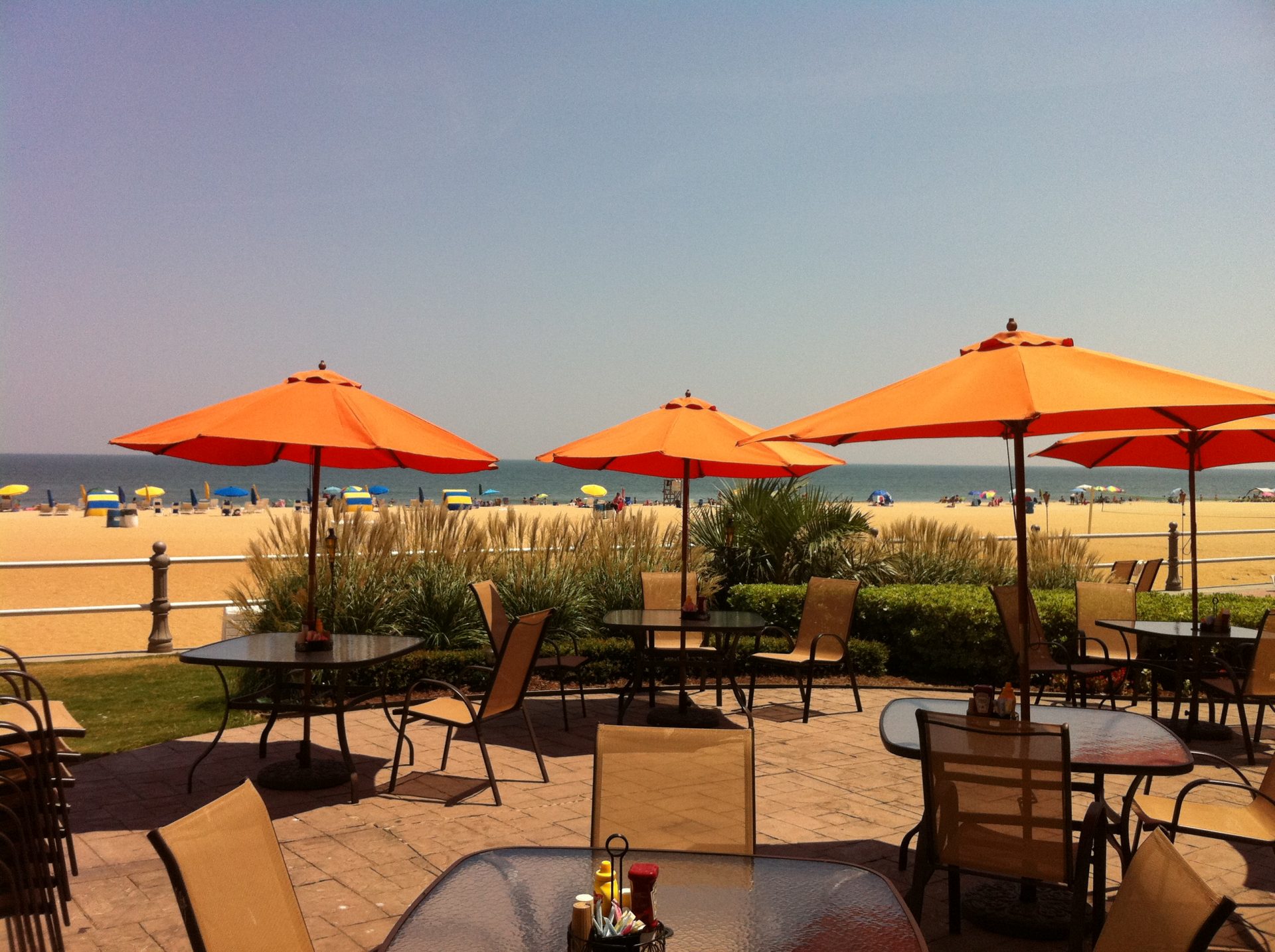 Surf Club Ocean Grille Virginia Beach Restaurant AssocVirginia Beach