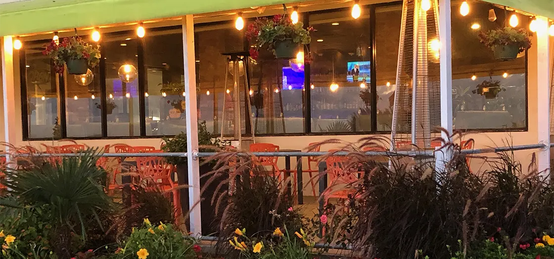 jumpin-shrimp-header