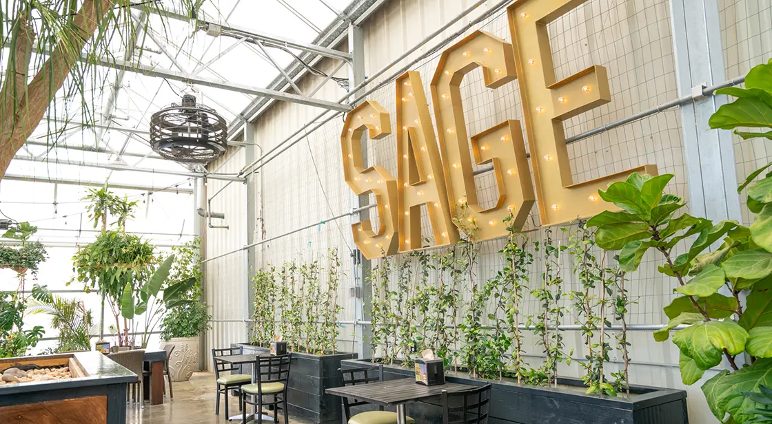 sage-kitchen-header2