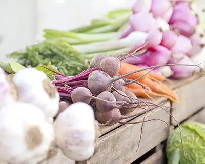 photo of farm vegetables