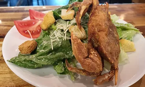 driftwood-kitchen-gallery-01