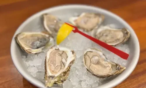 lucky-oyster-gallery-04