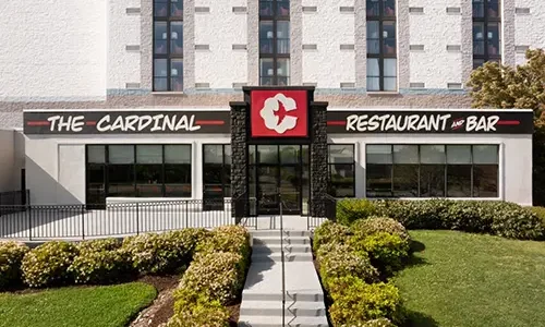 the-cardinal-gallery-04